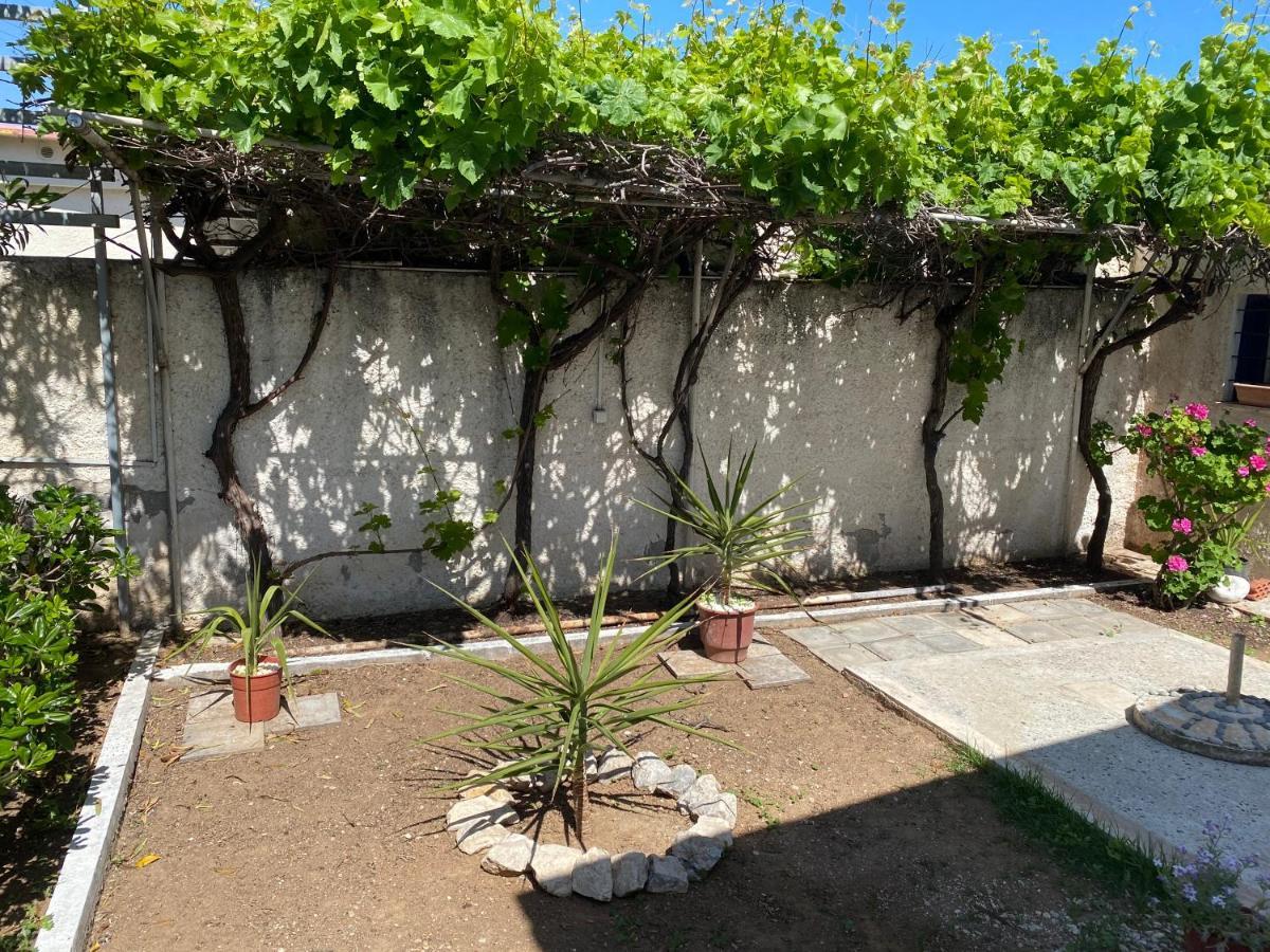 Alexia'S Beach House Kato Assos ภายนอก รูปภาพ