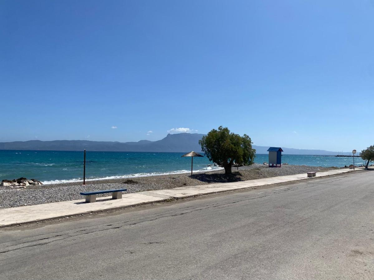 Alexia'S Beach House Kato Assos ภายนอก รูปภาพ